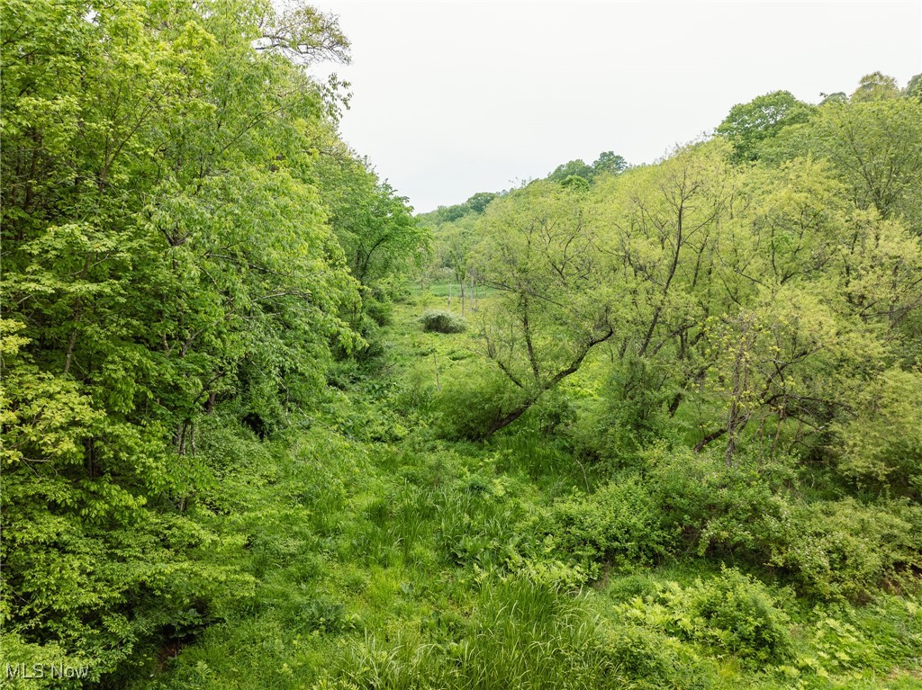 Prider Road, Kimbolton, Ohio image 16