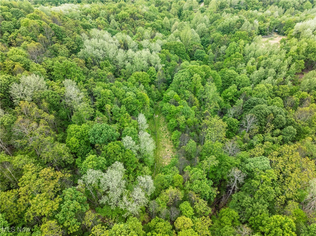 Prider Road, Kimbolton, Ohio image 27