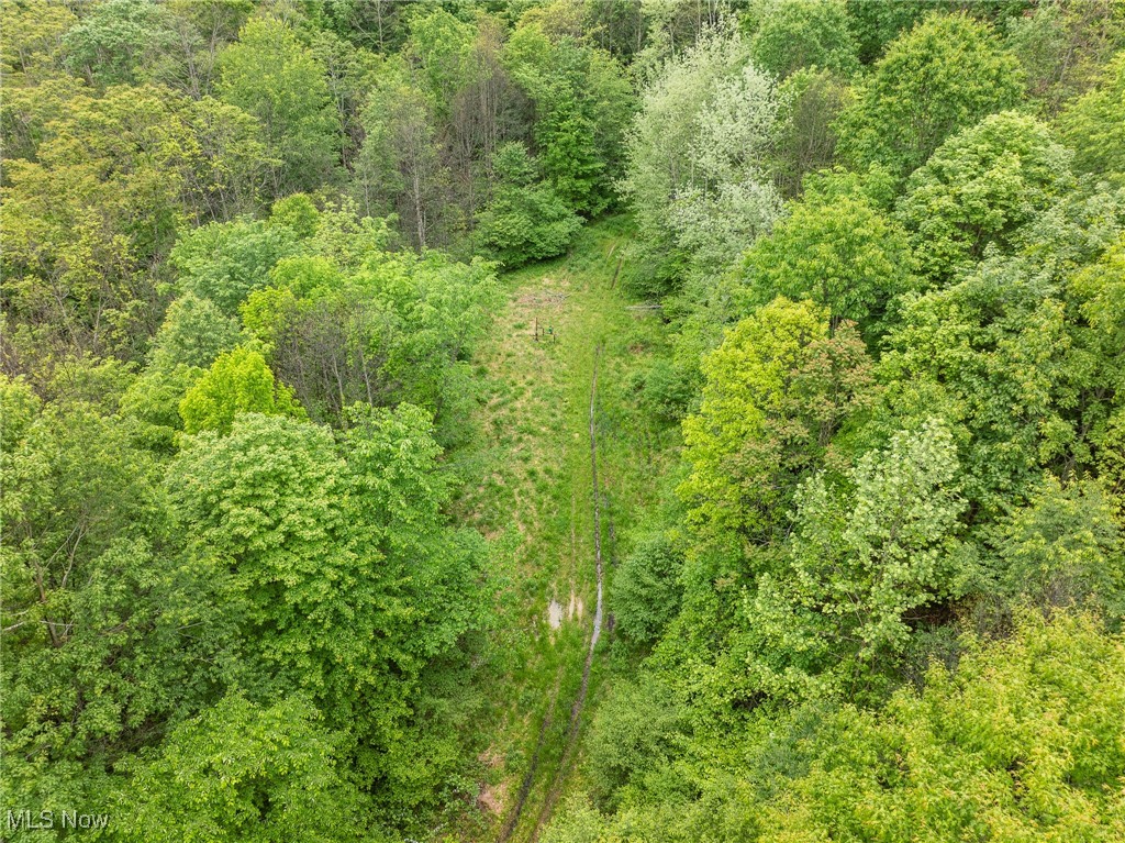 Prider Road, Kimbolton, Ohio image 36