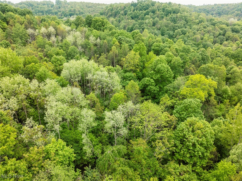 Prider Road, Kimbolton, Ohio image 33