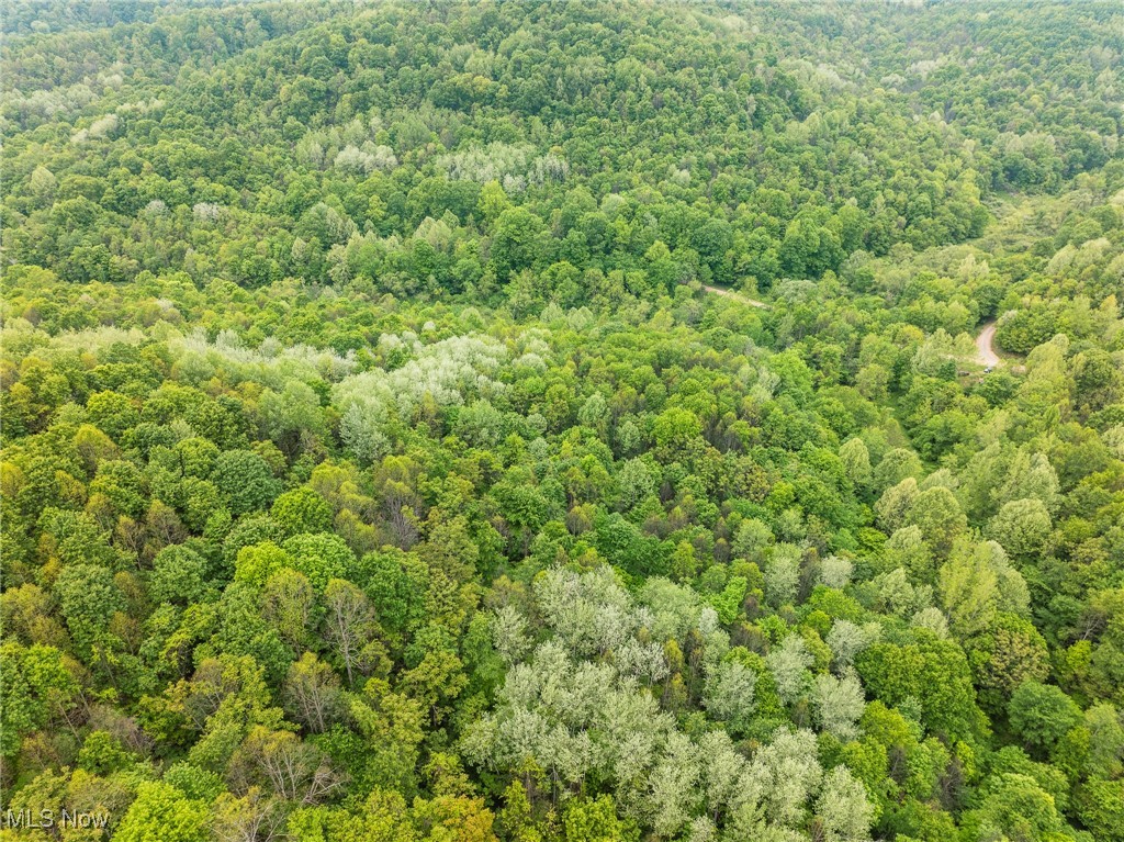 Prider Road, Kimbolton, Ohio image 35