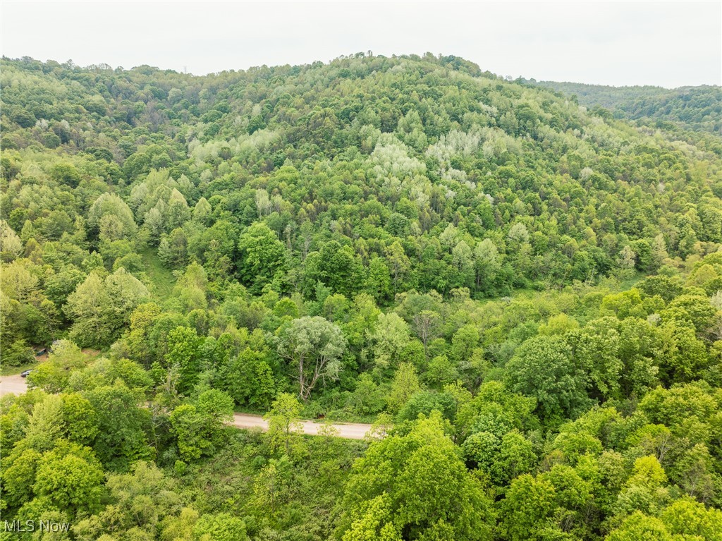 Prider Road, Kimbolton, Ohio image 38