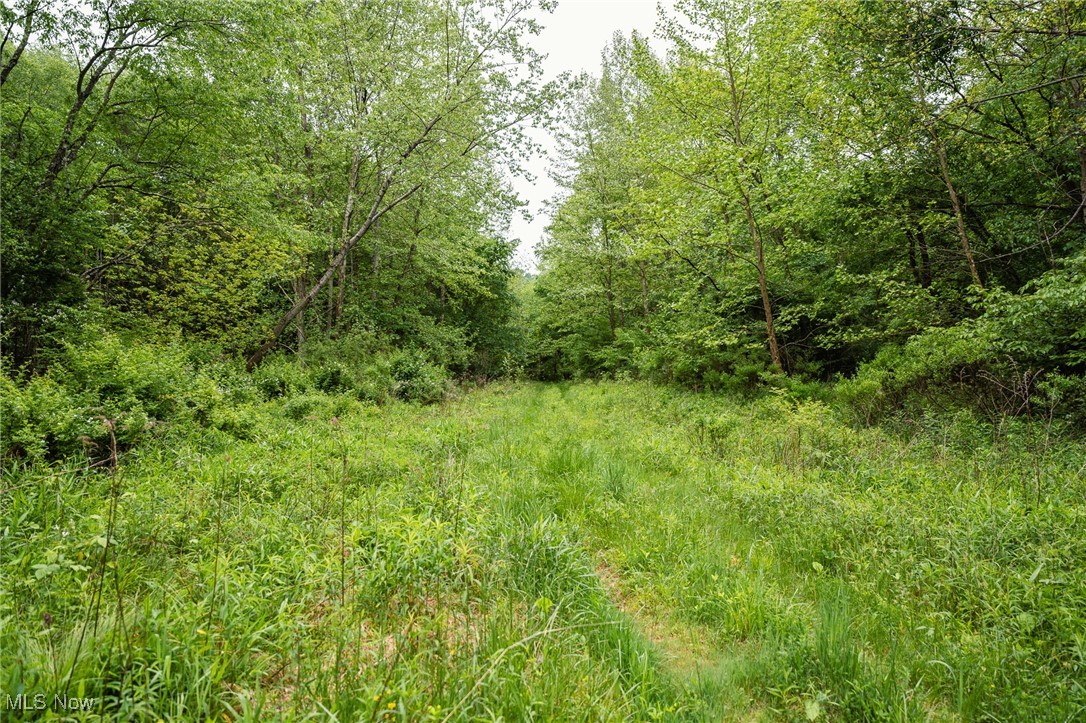 Prider Road, Kimbolton, Ohio image 43
