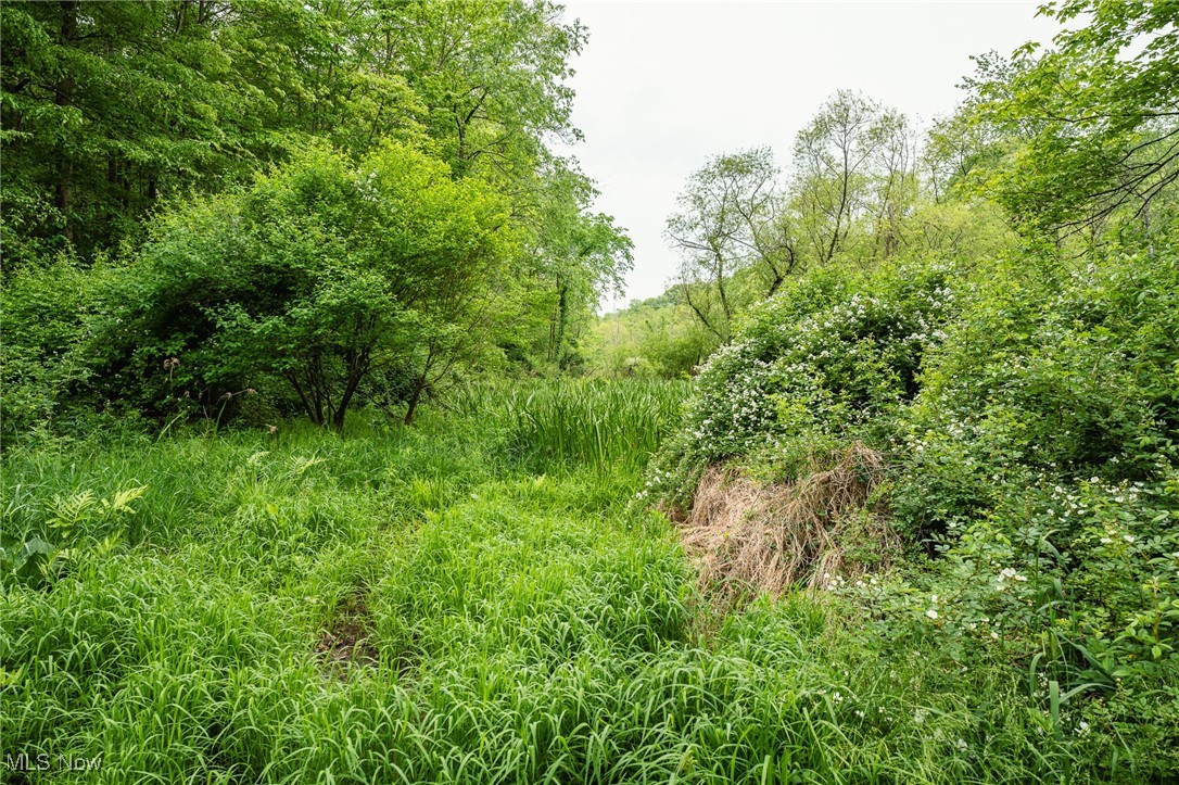 Prider Road, Kimbolton, Ohio image 41