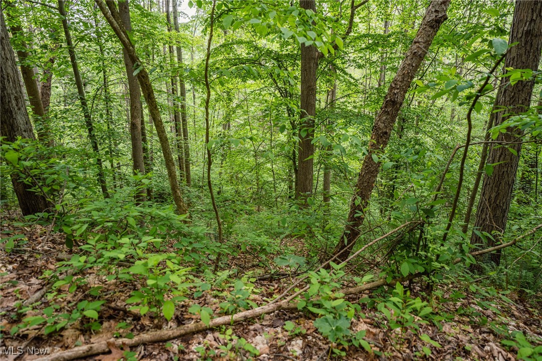 Prider Road, Kimbolton, Ohio image 23
