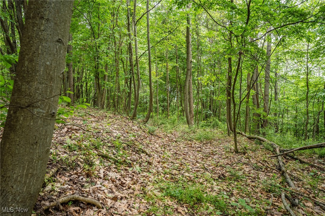 Prider Road, Kimbolton, Ohio image 49