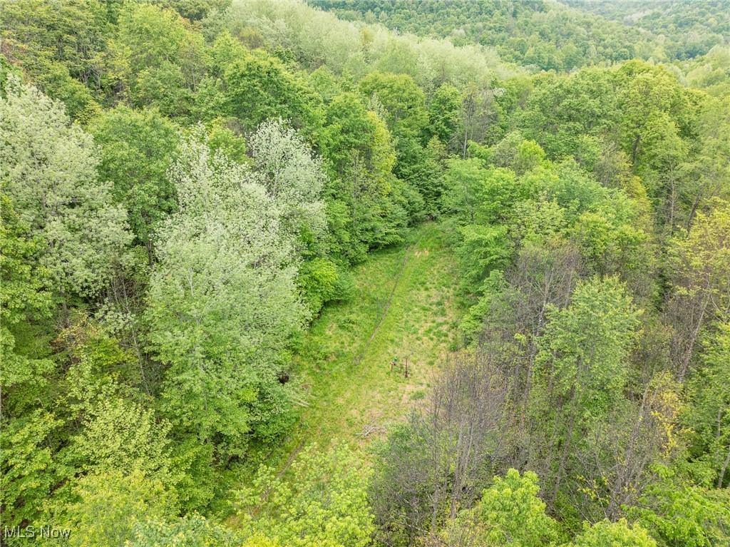 Prider Road, Kimbolton, Ohio image 20