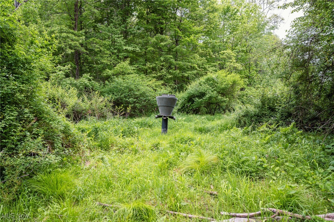 Prider Road, Kimbolton, Ohio image 40