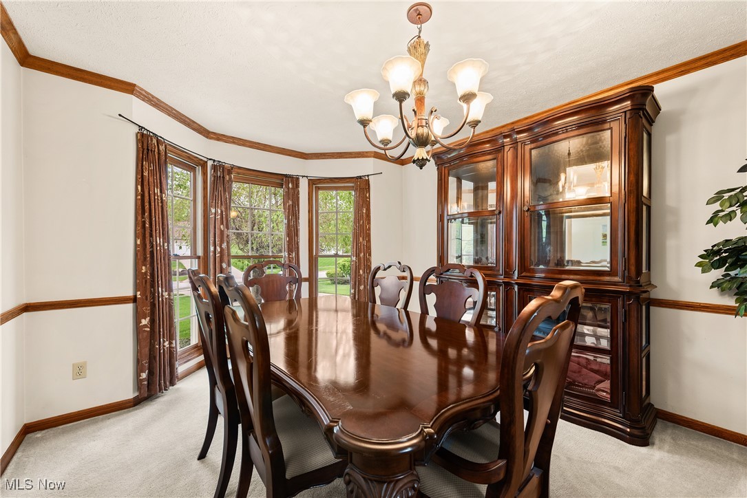 1713 Chestnut Trail Drive, Twinsburg, Ohio image 8