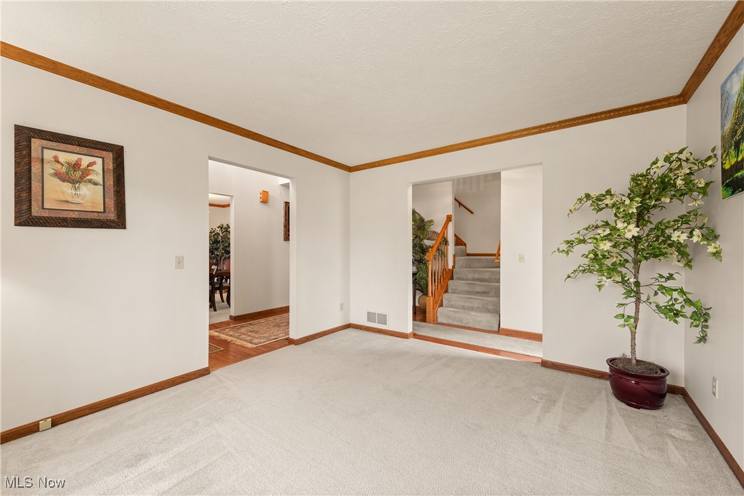 1713 Chestnut Trail Drive, Twinsburg, Ohio image 5