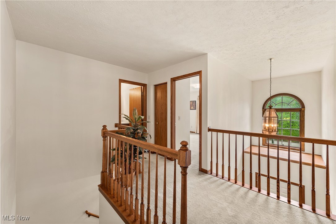1713 Chestnut Trail Drive, Twinsburg, Ohio image 30