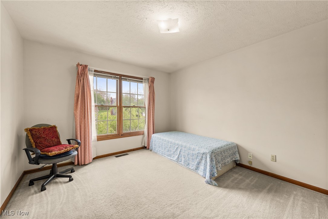 1713 Chestnut Trail Drive, Twinsburg, Ohio image 31