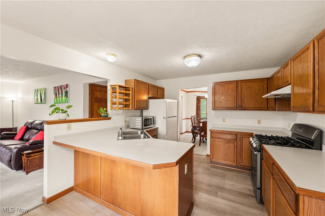 1713 Chestnut Trail Drive, Twinsburg, Ohio image 9