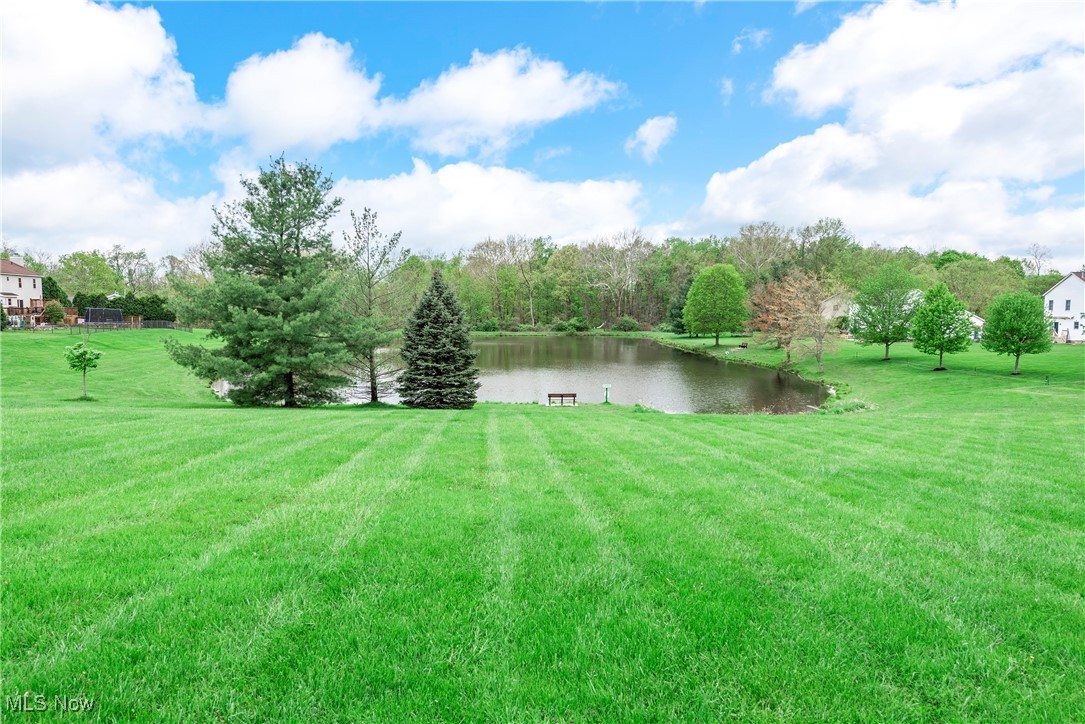 1713 Chestnut Trail Drive, Twinsburg, Ohio image 46