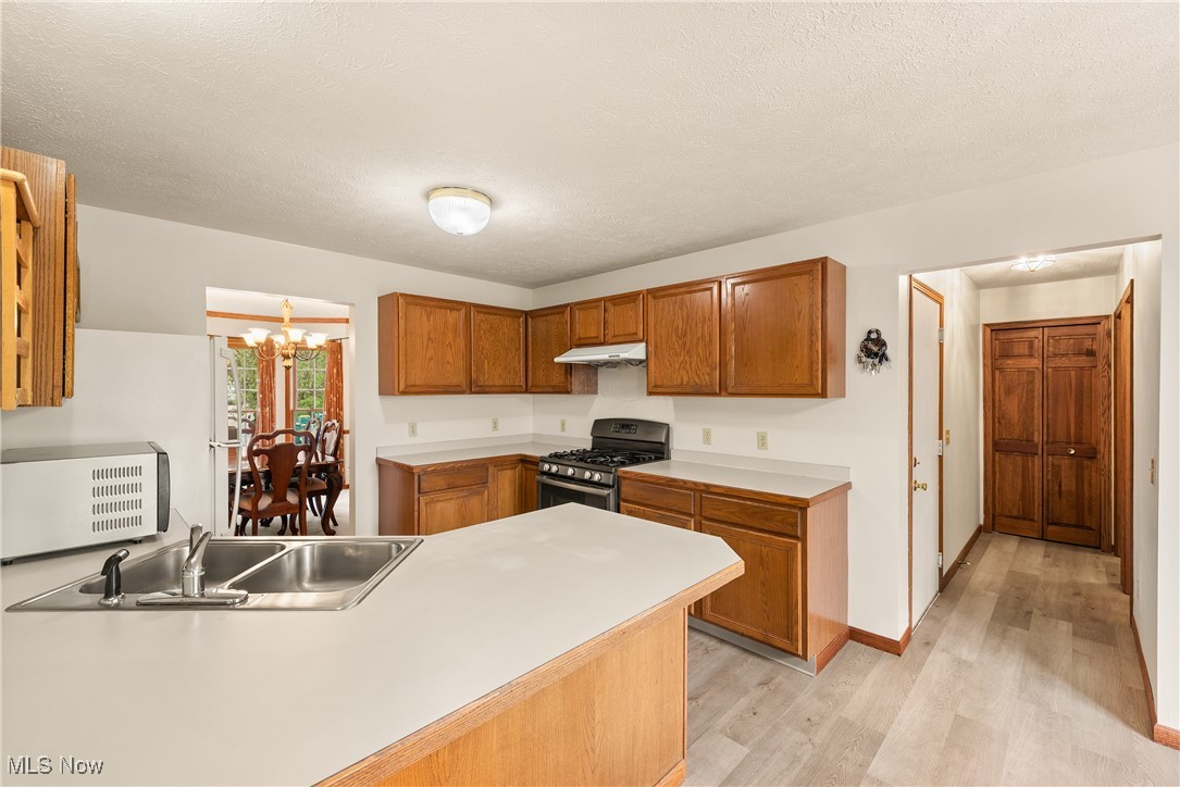1713 Chestnut Trail Drive, Twinsburg, Ohio image 11