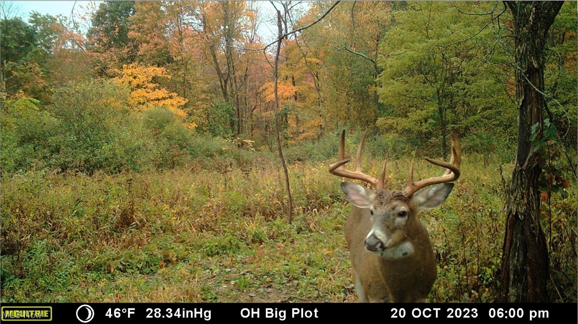 Oh-152, Toronto, Ohio image 45