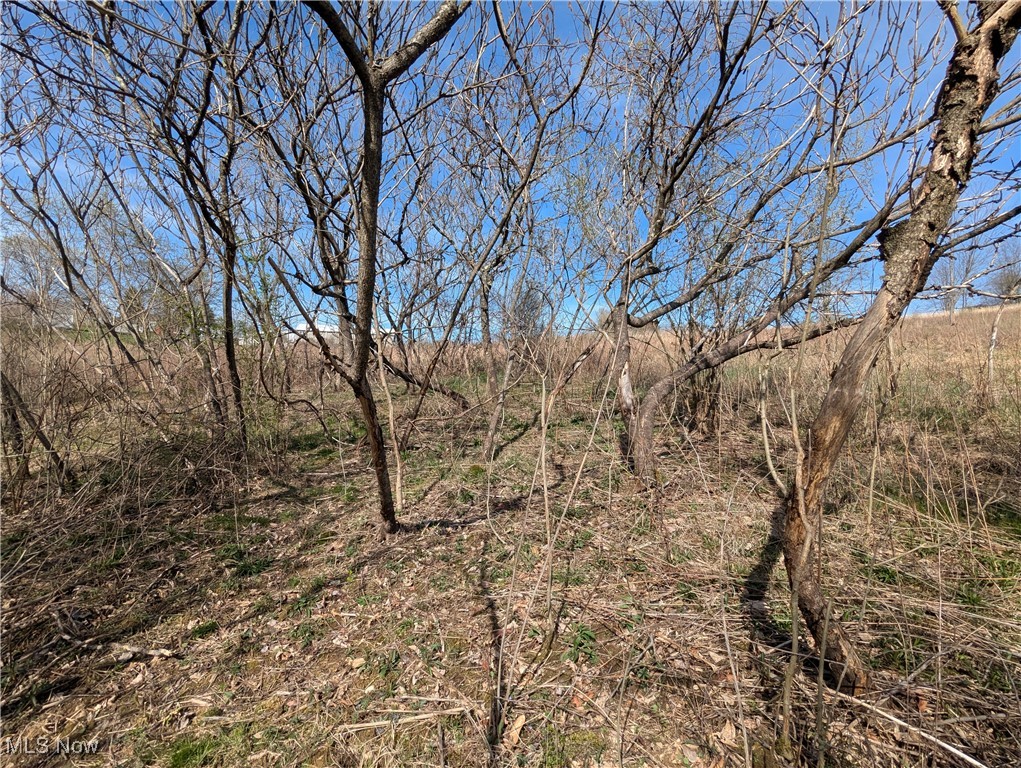 Oh-152, Toronto, Ohio image 36
