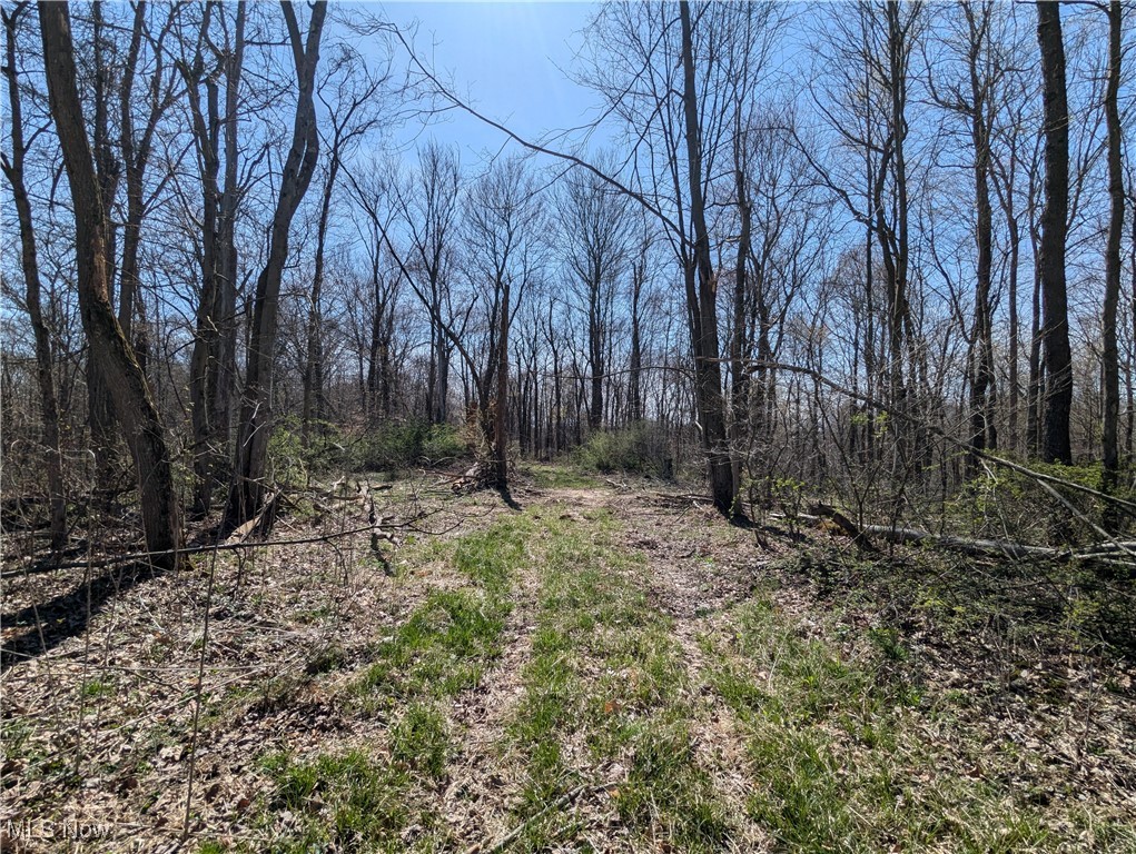 Oh-152, Toronto, Ohio image 20