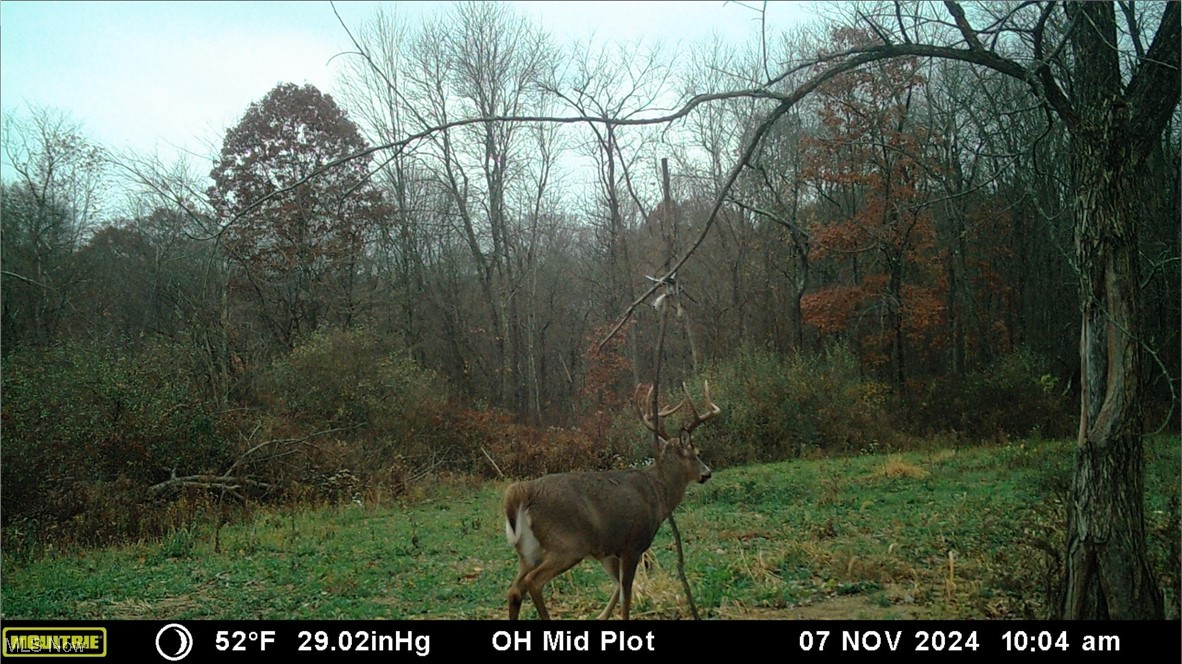 Oh-152, Toronto, Ohio image 41