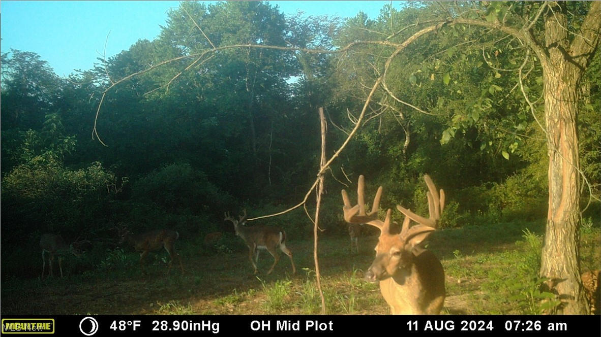 Oh-152, Toronto, Ohio image 39