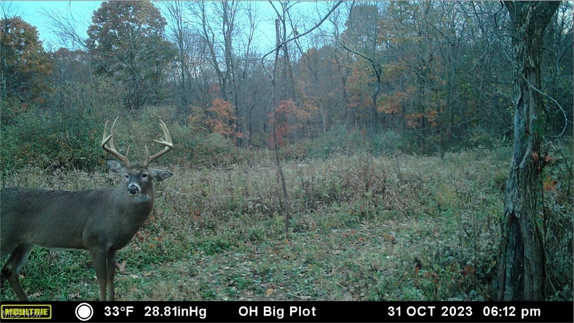 Oh-152, Toronto, Ohio image 46