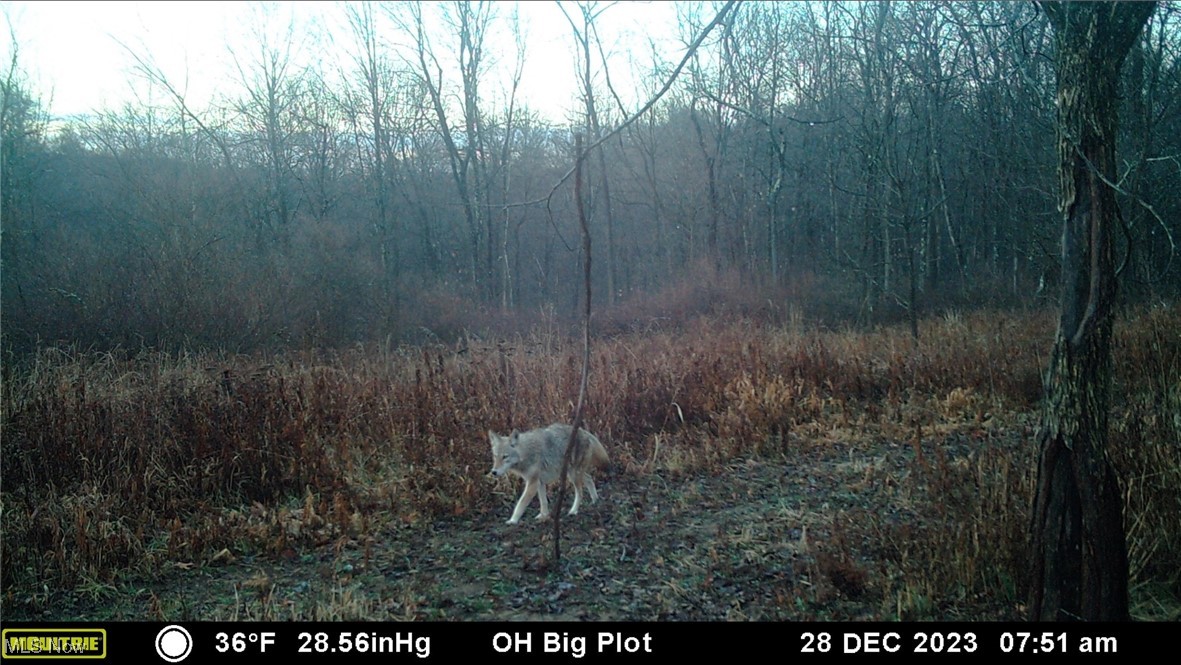 Oh-152, Toronto, Ohio image 47