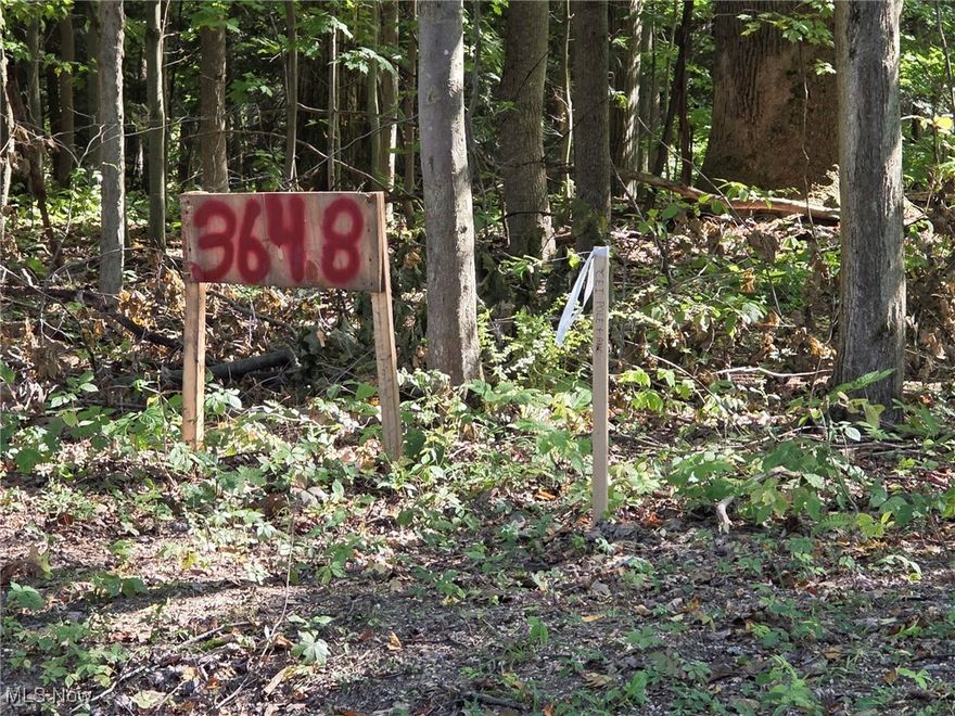 Your private retreat near the Grand River! Imagine waking up each day in the heart of nature, where towering trees surround you in peace and privacy. This secluded wooded property is more than just land-its the perfect canvas for your dream home, tucked away from the world with no neighbors in sight. Just a short stroll from the beautiful Grand River, it offers serenity of a retreat with the freedom to design exactly what you've always envisioned. With electric already planned for the property and septic soil tests complete, much of the prep work has been done for you-making it easier to bring your vision to life. Whether you dream of a cozy cabin or a grand estate, this slice of nature is ready to welcome you home. If you've been searching for the perfect place to create a private sanctuary, this is it- spacious, secluded, and full of potential.