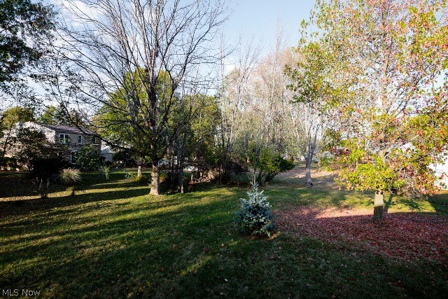 Meadows - Residential