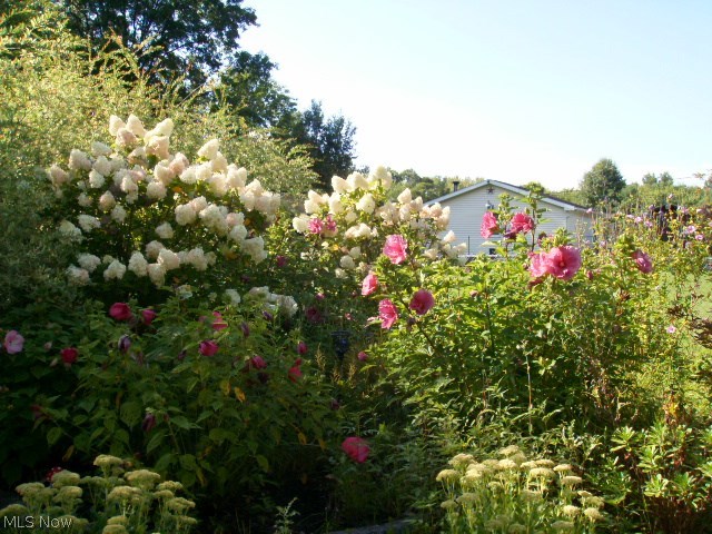 Parkside - Residential