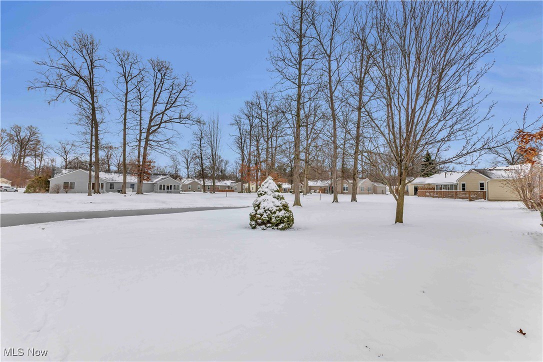 Avon Woods Condo - Residential