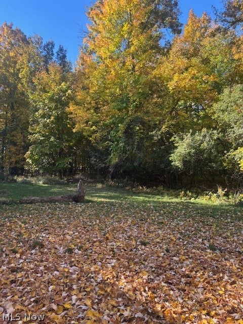 Tiny photo for 1036 Woodlane Drive, Mayfield Village, OH 44143 (MLS # 5255545)