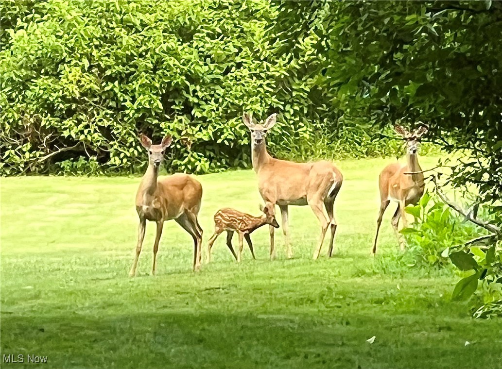 Meadows Sub - Residential