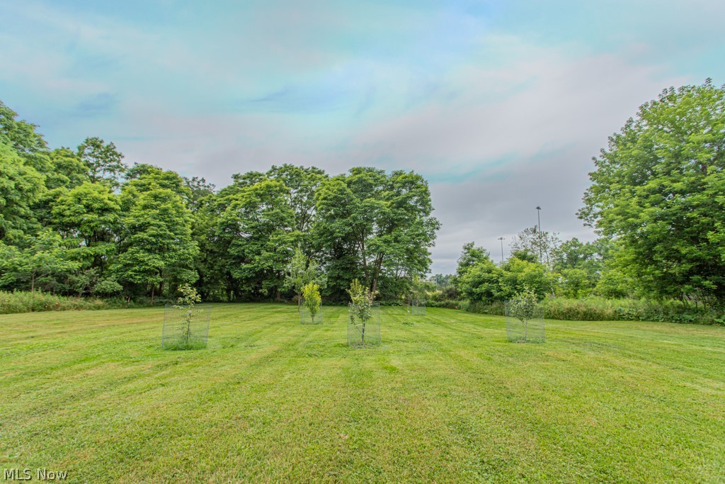Oakwood Ave 02 - Residential