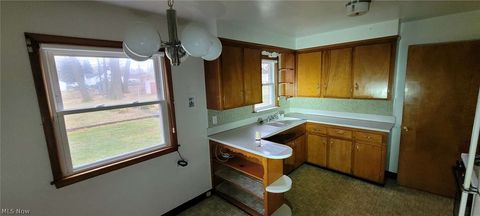 Tiny photo for 1807 Skyline Drive, Cleveland, OH 44143 (MLS # 5188128)