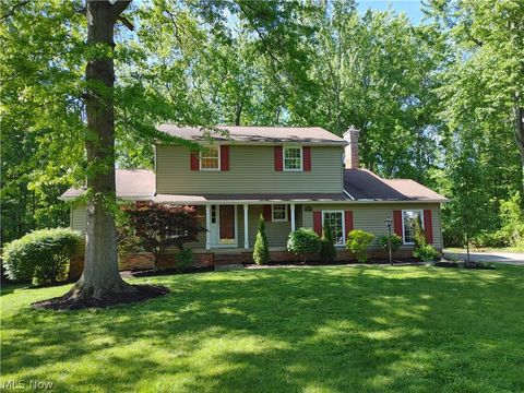 9364 Sunrise Court Mentor OH 44060