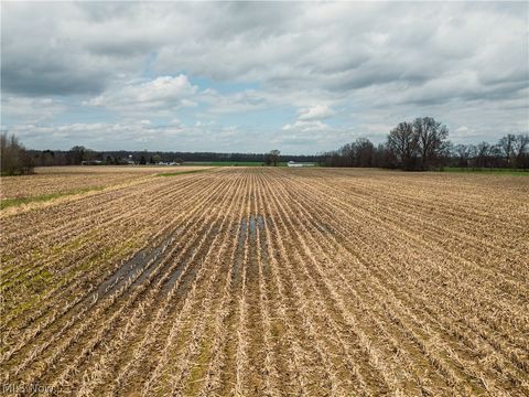 Vacant Land For Sale - Steiner Road<br/> Creston, OH 44217