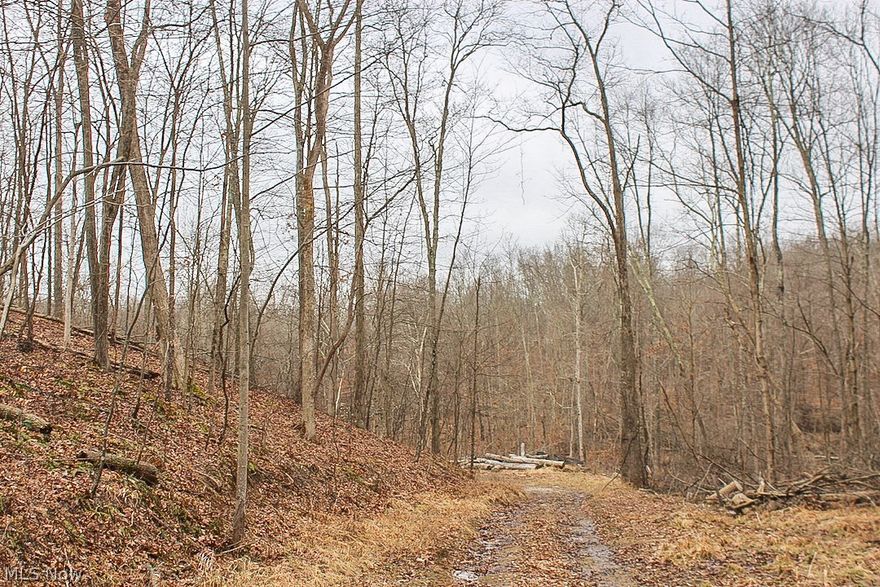 12 acres for sale in Guernsey County, Ohio. A great location to build your home or cabin. You could also just use it for hunting and recreation. Easement for access and driveway already cut in. Just a couple minutes drive to Senecaville Lake and not far from Interstates 70 & 77. Call today before it's gone.