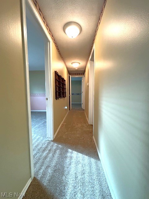 Oberlin View - Residential