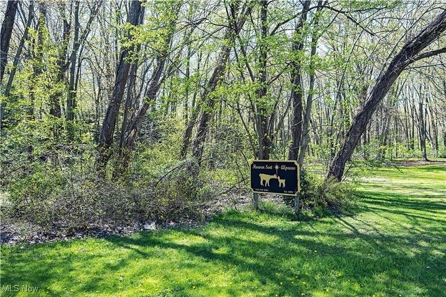 EXTRAORDINARY opportunity for a 16+ acre buildable lot in the highly desirable Village of NORTH Perry! This
land is so versatile and includes a 60x40 pole barn with a large loft and 60x12 overhang perfect for a horse/alpaca farm,
cars, RV’s or boats! Dreaming of building a private single family estate? Want to build a multi-home development? Maybe
split the land and do both? Utilities are available at the street and ready for your imagination. Gas well on lot, currently
not in operation. The Village of North Perry provides their own police department, residents only beach, pool and park,
free water and sewer, free basic cable and Wi-Fi, free trash pickup, large item removal and so much more! This rare, good
fortune awaits you. Don’t miss out on this beautiful property.