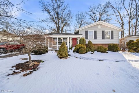 Homes For Sale - 6239 Dunbar Drive<br/> Lake County, Mentor, OH 44060