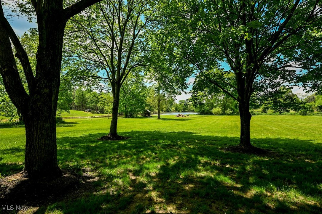 4570 Vandemark Road, Litchfield, Ohio image 34