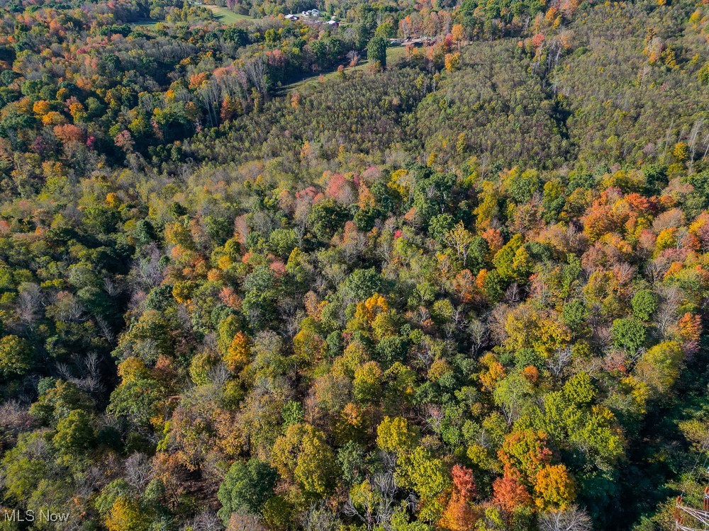 Flint Ridge Road, Crooksville, Ohio image 22