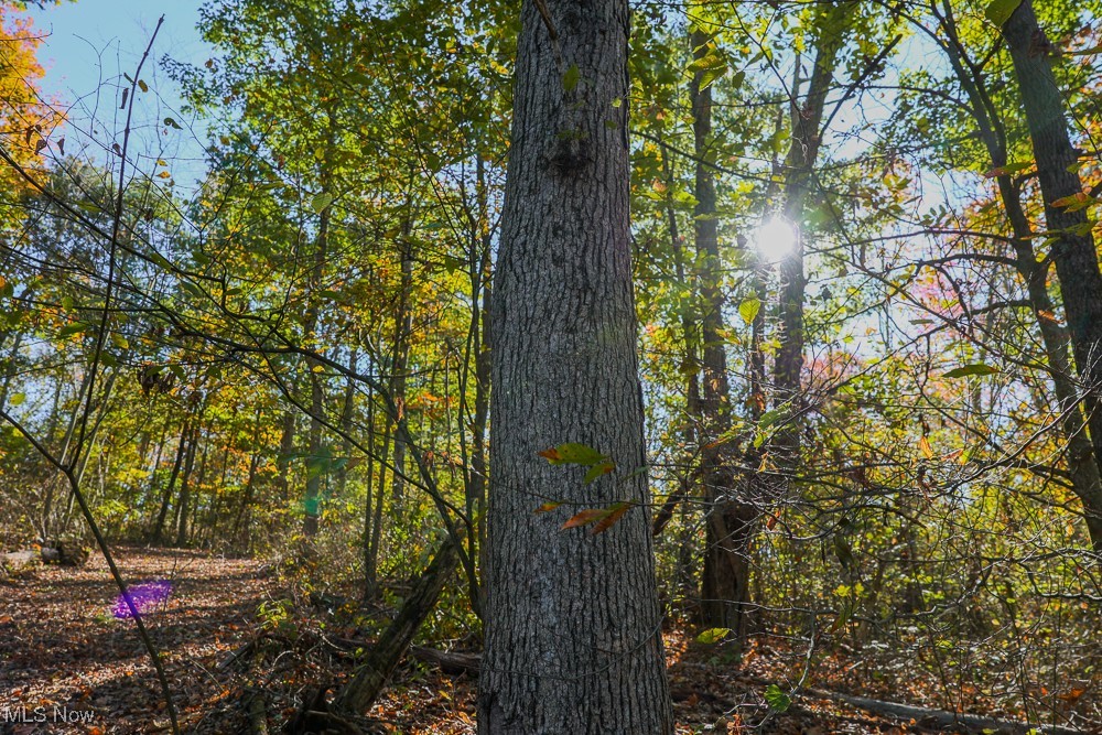 Flint Ridge Road, Crooksville, Ohio image 14