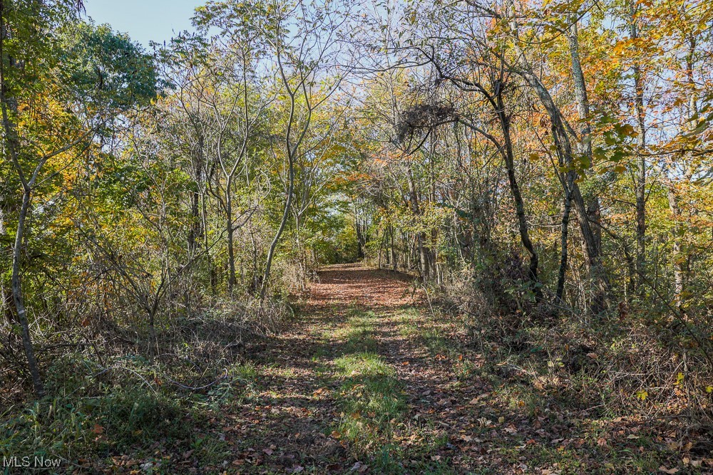 Flint Ridge Road, Crooksville, Ohio image 3