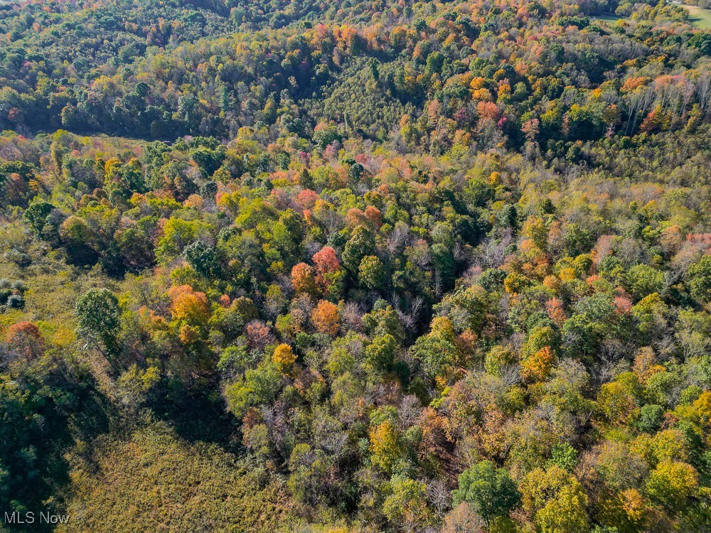 Flint Ridge Road, Crooksville, Ohio image 23