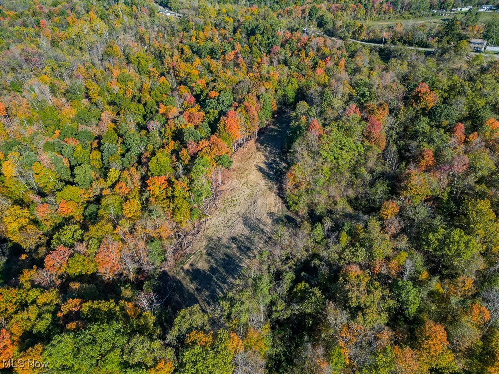 Flint Ridge Road, Crooksville, Ohio image 15