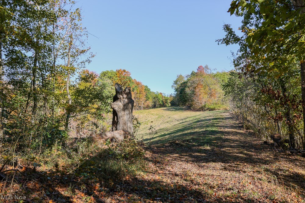 Flint Ridge Road, Crooksville, Ohio image 5