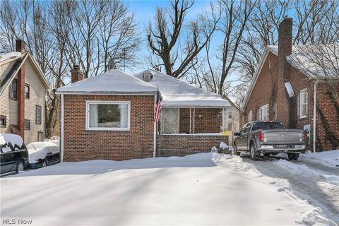 Homes For Sale - 127 Roslyn Drive<br/> Youngstown, OH 44505