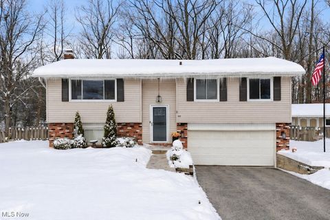 307 Washington Drive Northfield OH 44067