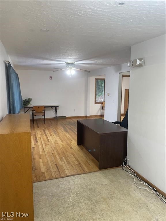 Massillon Road - Commercial Sale